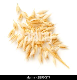 Hafer-pflanzen Bündel auf weißem Hintergrund. Ansicht von oben, flach Stockfoto
