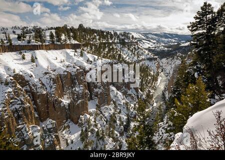 WY04539-00...WYOMING - Blick auf den Yellowstone River, der durch einen schmalen, bunten Canyon fließt, vom Calcite Springs Aussichtspunkt in Yellowstone Nat aus gesehen Stockfoto