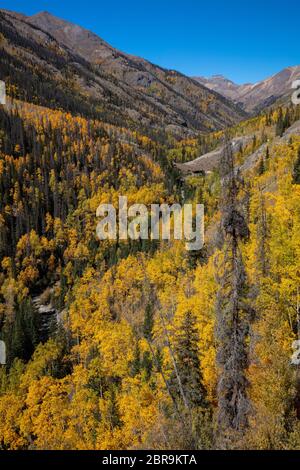 Shell Road auf dem Weg zum Cinnamon Pass im Herbst, San Juan Mountains, Hinsdale County, Colorado Stockfoto