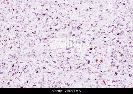 Terrazzo Boden lila oder Marmor schöne alte Textur, polierte Steinwand für Hintergrund Stockfoto