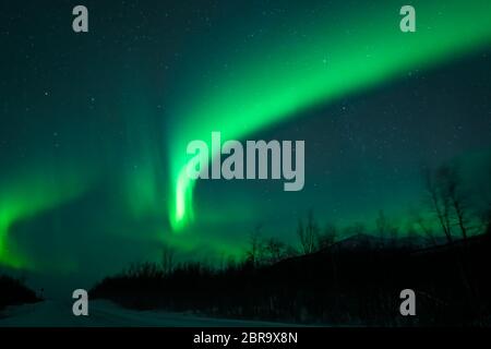 Ehrfürchtige Anzeige der Aurora Borealis - das Nordlicht über leere Schnee Straße in Norwegen und Finnland Stockfoto