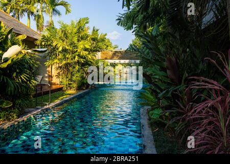 Leeres, wunderschön beleuchtetes, sonnenreiches Schwimmbad mit Springbrunnen, umgeben von grünen Palmen im tropischen Dschungel, Thailand Stockfoto