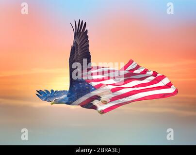 Double Exposure Effekt der nordamerikanischen Weißkopfseeadler auf amerikanische Flagge mit Sonnenuntergang im Hintergrund Stockfoto