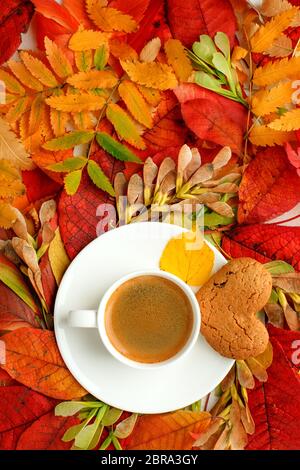 Herbst Komposition Konzept Hintergrund. Americano Kaffeetasse mit Herbst helle Blätter. Flatlay Hintergrund, einfaches Top-View-Muster, Saisonkonzept m Stockfoto