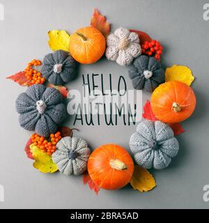 HALLO Herbst Rahmen mit trockenen Blättern, natürliche und dekorative Kürbisse Form von Kranz auf grauem Hintergrund, saisonale halloween, Erntedankfest Herbst Stockfoto