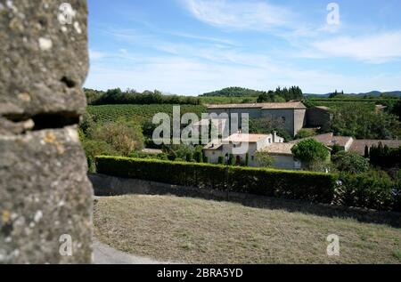 Weinberge außerhalb der befestigten Stadt Carcassonne.Aude.Occitanie.Frankreich Stockfoto