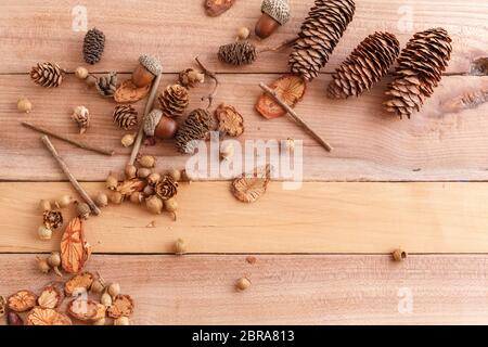 Herbst Hintergrund. Kegel, Eicheln und Stücke Holz auf Holz Hintergrund. Die Aussicht von oben. Stockfoto