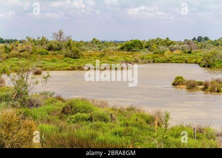 Riparian Landschaft rund um den Regionalen Naturpark der Camargue im Süden Frankreichs Stockfoto