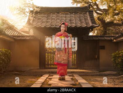 Maiko in einem Kimono auf einem Stein Pfad vor dem Tor ein traditionelles japanisches Haus umgeben von Kirschblüten posing und Pinien in den Strahlen Stockfoto