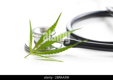 Marihuana Cannabis Blätter und Stethoskop auf weißem Hintergrund. Stockfoto