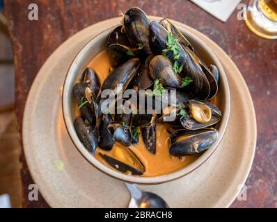 Nahaufnahme der traditionellen Gerichte der französischen Küche, appetitlich Meeresfrüchtesuppe mit Miesmuscheln in Keramik Teller serviert Stockfoto