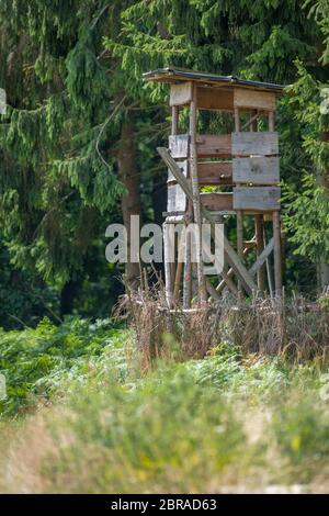 Hölzerner Huntsman hoher Sitz am Waldrand vor einer Wiese mit grünem Hintergrund Stockfoto