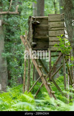 Hölzerner Huntsman hoher Sitz am Waldrand vor einer Wiese mit grünem Hintergrund Stockfoto