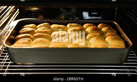 Ein Blick in den Backofen mit traditionellen tschechischen Quark Kuchen in der Pfanne. Stockfoto