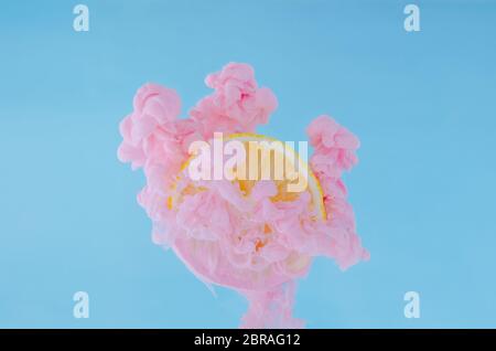 Slice Lemon mit partiellem Fokus der Auflösung rosa Poster Farbe in Wasser auf blauem Hintergrund für Sommer, abstrakt und Hintergrund Konzept. Stockfoto