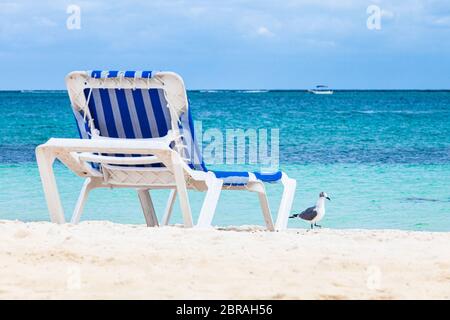 Möwen und Liegestühle am weißen Sand und azurblauem Wasser der Maya-Riviera in Mexiko. Stockfoto