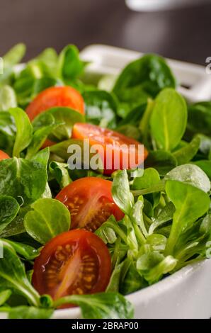 Feldsalat Salat, Tomaten und Kräutern, Essen Fotografie Stockfoto