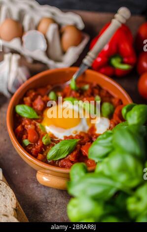 Shakshuka einfach und sehr lecker, billig, aber sehr lecker Essen! Stockfoto