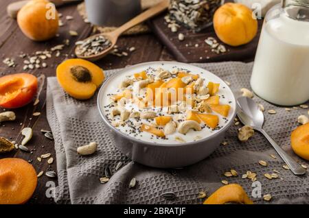 Heimischen Aprikosen Müsli Joghurt mit Milch und knackigen Nüssen und gesunden Samen chia Stockfoto
