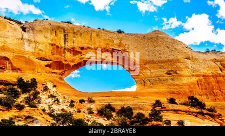 Wilson Arch unter blauem Himmel, ein Sandsteinbogen entlang des US Highway 191, südlich der Stadt Moab in Utah, USA Stockfoto