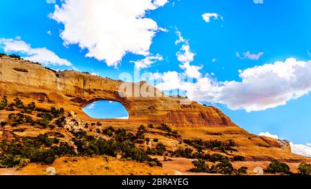 Wilson Arch unter blauem Himmel, ein Sandsteinbogen entlang des US Highway 191, südlich der Stadt Moab in Utah, USA Stockfoto