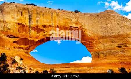 Wilson Arch unter blauem Himmel, ein Sandsteinbogen entlang des US Highway 191, südlich der Stadt Moab in Utah, USA Stockfoto