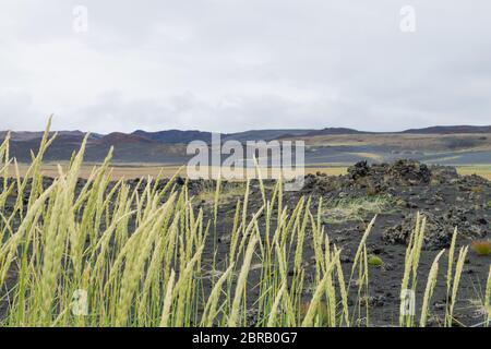 Island Landschaft in der Nähe von hverfell Vulkan. Hverfjall, Island Sehenswürdigkeiten Stockfoto