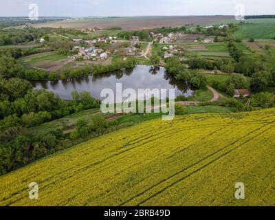 Lokaler Historiker über einem Rapsfeld und Blick auf einen See, einen Fluss und ein kleines Dorf. Stockfoto