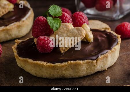 Schokolade Tartalets mit Nüssen, Zucker und Kakao Stockfoto