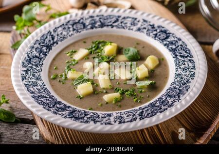 Kartoffel Pilze Knoblauch Suppe, viele Kräuter innen Stockfoto