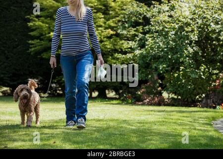 Eine nicht erkennbare Person eine poo Beutel wie sie ihrem Hund für einen Spaziergang in einem öffentlichen Park gelangen. Stockfoto