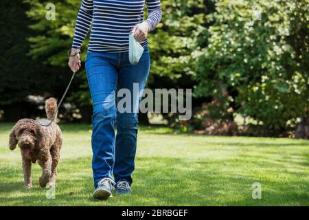 Eine nicht erkennbare Person eine poo Beutel wie sie ihrem Hund für einen Spaziergang in einem öffentlichen Park gelangen. Stockfoto