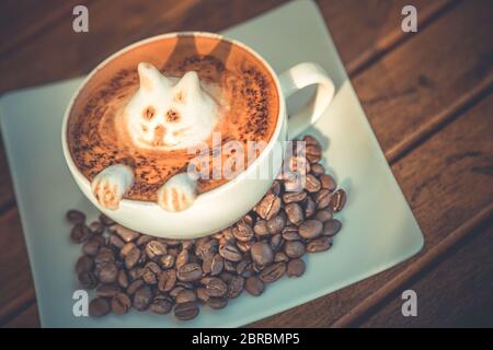 Kitty Latte Art, frischer Kaffee von Barista. Künstlerische Latte Art Stockfoto