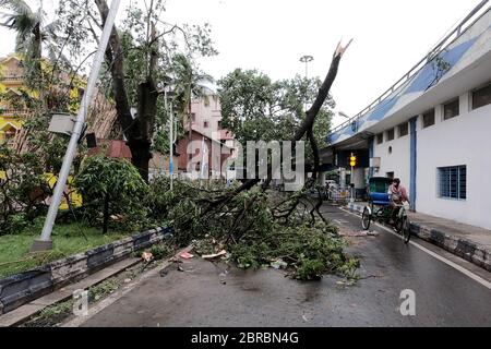 Kalkutta, Indien. Mai 2020. Nachdem der verheerende Superkyklon „Amphan“ am letzten Abend West Bengalen getroffen hat, ist der National Highway/Kona Express Way wegen entwurzelter Bäume und elektrischer Pfosten gesperrt. (Foto von Sudipta Pan/Pacific Press) Quelle: Pacific Press Agency/Alamy Live News Stockfoto