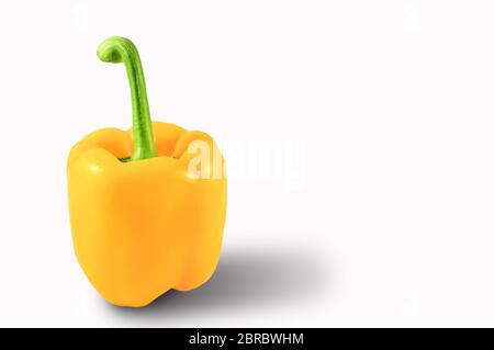 Hässliche gelbe Paprika quadratische Form auf einem weißen Hintergrund, Nahaufnahme, horizontale Ausrichtung, Kopierraum. Isoliert. Stockfoto