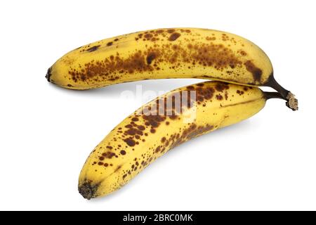 Zwei braun gefleckte, überreife Bananen auf weißem Hintergrund Stockfoto