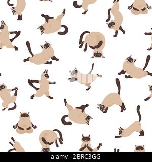 Katzen Yoga nahtlose Muster. Siamkatzen. Verschiedene Yoga-Posen und Übungen. Vektorgrafik Stock Vektor