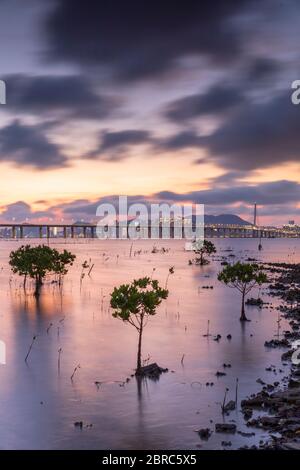 Shenzhen Bay Bridge von Lau FAU Shan bei Sonnenuntergang, Hongkong Stockfoto