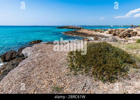 Goldene Strände und klares Meer. Magie des Salento. Punta della Suina. Apulien, Italien Stockfoto