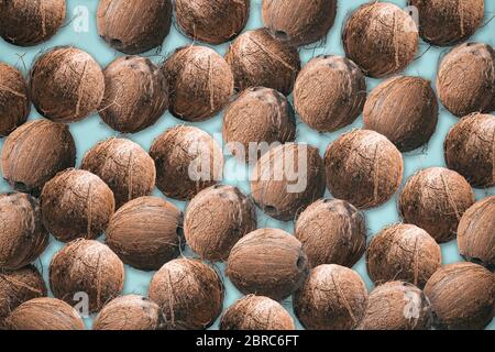 Ganze Kokosnüsse als Muster Stockfoto