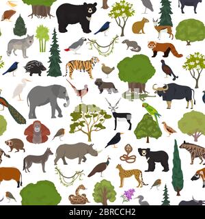 Monsun Wald Biom, natürliche Region nahtloses Muster. Terrestrische Ökosystemkarte. Tiere, Vögel und Vegetationen Design-Set. Vektorgrafik Stock Vektor