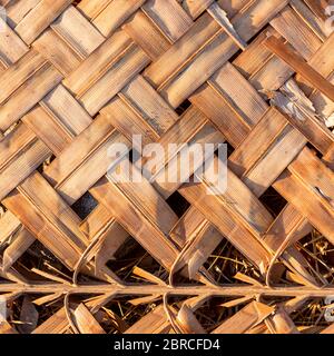 Detail eines asiatischen Hausdaches aus Kokosnusspalmenblatt. Natürlicher Schutz vor Sonne und Regen. Trockenes Palmblatt für Hintergrund. Stockfoto