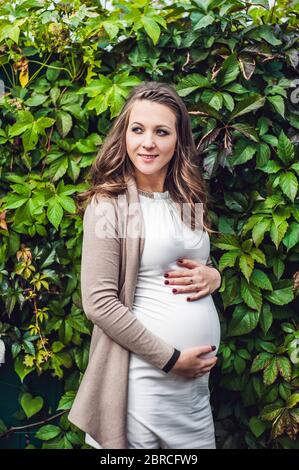 Eine schwangere junge Frau, die an der Hecke steht und den Bauch hält. Schwangere Frau, die sich im Park entspannt. Stockfoto