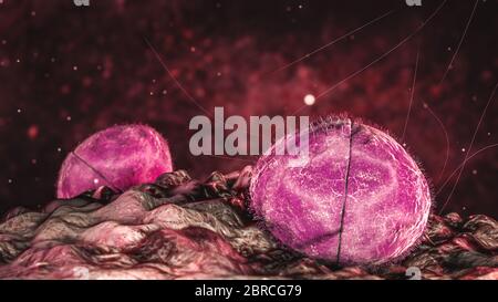 Wissenschaft Foto von Bakterien Neisseria meningitidis, oft als Meningococcus bezeichnet, ist ein Gram-negatives Bakterium, das Meningitis verursachen kann Stockfoto