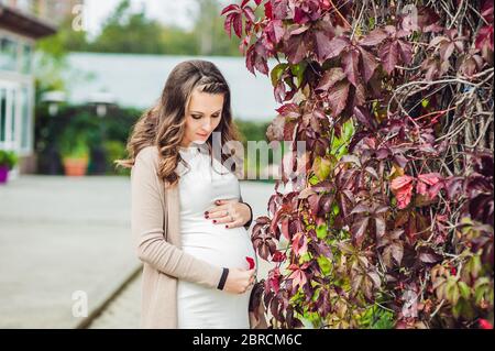 Eine schwangere junge Frau, die an der roten Herbsthecke steht und den Bauch hält. Schwangere Frau, die sich im Park entspannt. Stockfoto