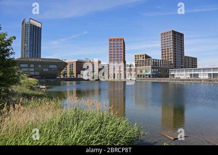 Gebäude am nördlichen Rand von Canada Water, London. Zeigt die neue Bibliothek (links) mit den Ontario Point Apartments dahinter. Stockfoto