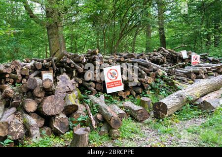 Nicht auf Holzstapel Schild klettern, Waldbewirtschaftung, Coppicing, Holzstapel und Brennholz, Hamstreet National Nature Reserve, kent, uk Stockfoto