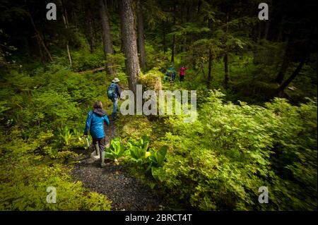 Cascade Trail, Thomas Bay, Südost-Alaska, USA, ist ein abgelegener Tongass National Forest Trail, der von abenteuerlichen Touristen auf einer kleinen Schifffahrt genossen wird. Stockfoto