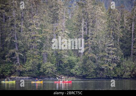 Die Tierwelt und Landschaft Südost-Alaskas auf den Blashke Islands spricht Kajakabenteurer auf einer kleinen Schiffstour an. Stockfoto