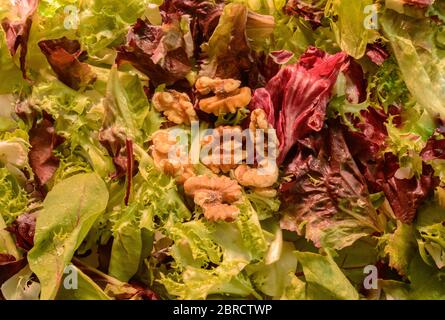 Frischer Rute Und Grüner Salat Salat Salat Mit Mehreren Walnüssen Garnising The Center Stockfoto